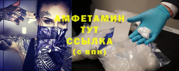 крисы Алзамай