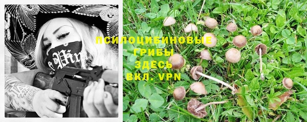 бошки Арсеньев
