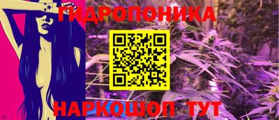 соль ск Пушкино