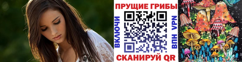 Псилоцибиновые грибы Psilocybine cubensis  продажа наркотиков  Сунжа 