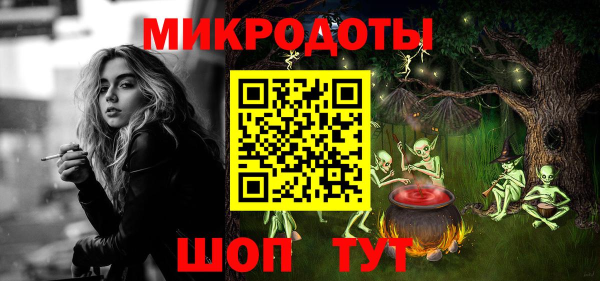 Псилоцибиновые грибы Cubensis Сунжа