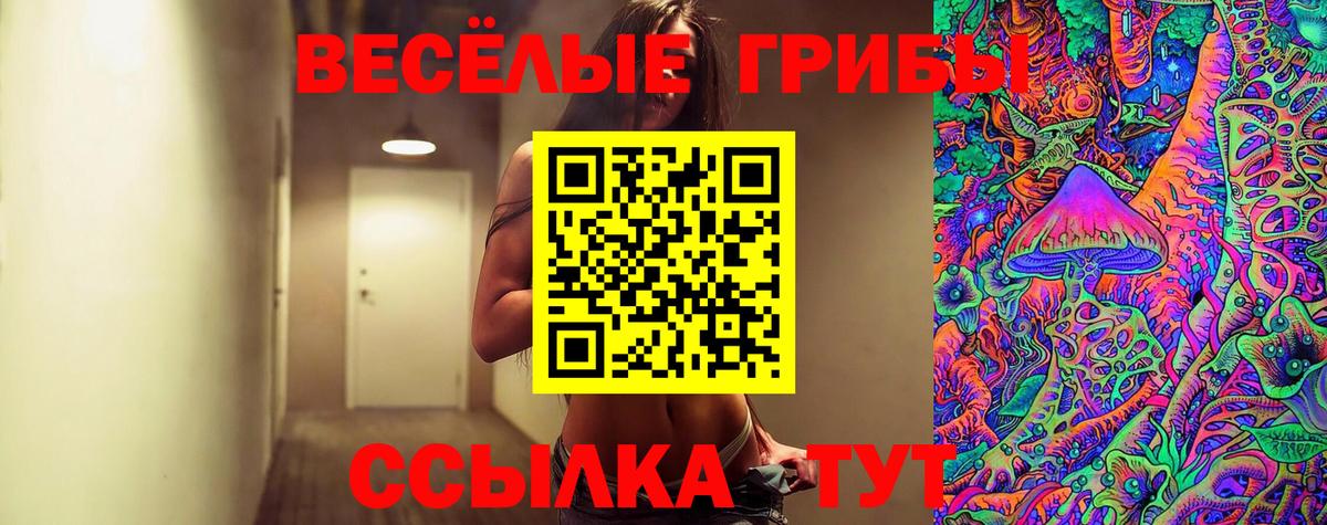 Псилоцибиновые грибы Magic Shrooms  Вход с VPN  Сунжа 